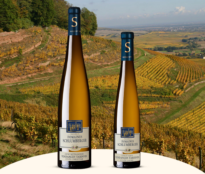 Les Collections, domaine schlumberger