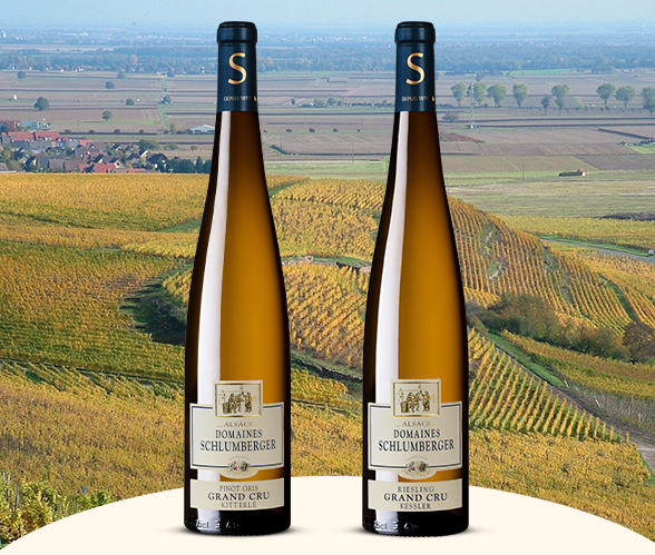Les princes abbés, domaine schlumberger