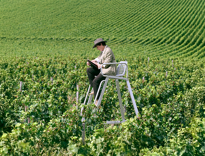 Christelle RINVILLE, directrice du vignoble Taittinger dans le paysage Champenois et ces vignes