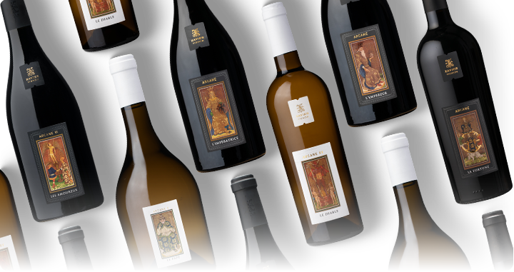 Les-Arcanes-Xavier-Vignon