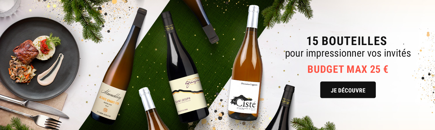 15 VINS IMPRESSIONNER SES INVITES
